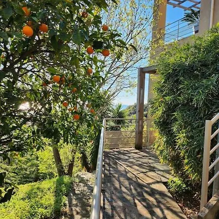 Tres Bel En Avec Parking バスティア